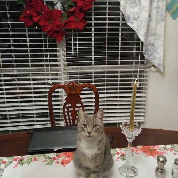 mpmp101